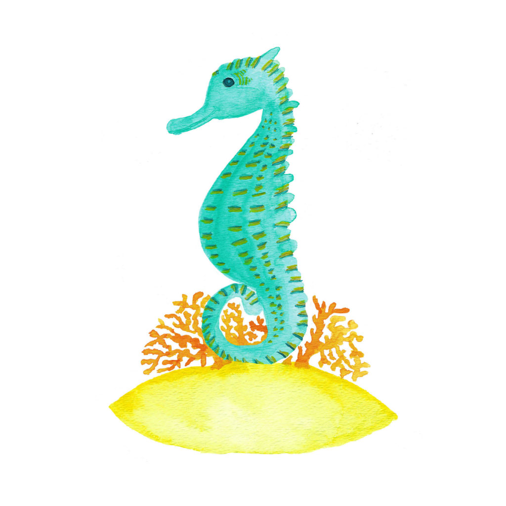 seahorse life watercolor painting by Aliya Bora