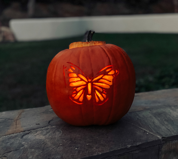 Halloween Butterfly Pumpkin Carving