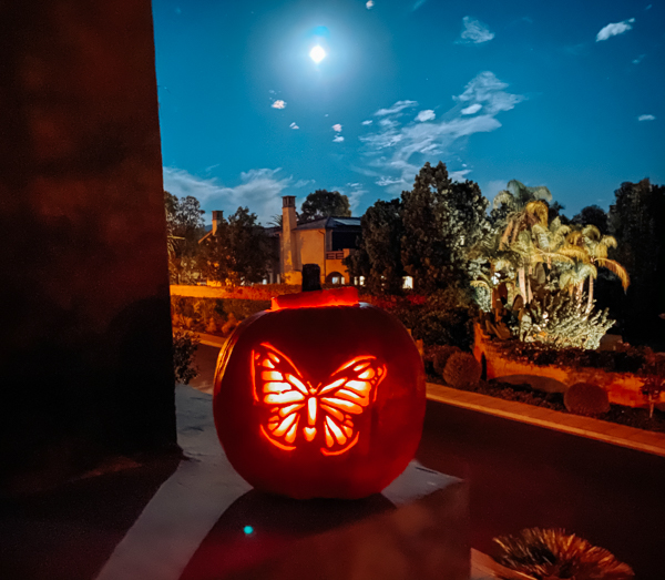 Halloween Full Moon with Butterfly Pumpkin Carving